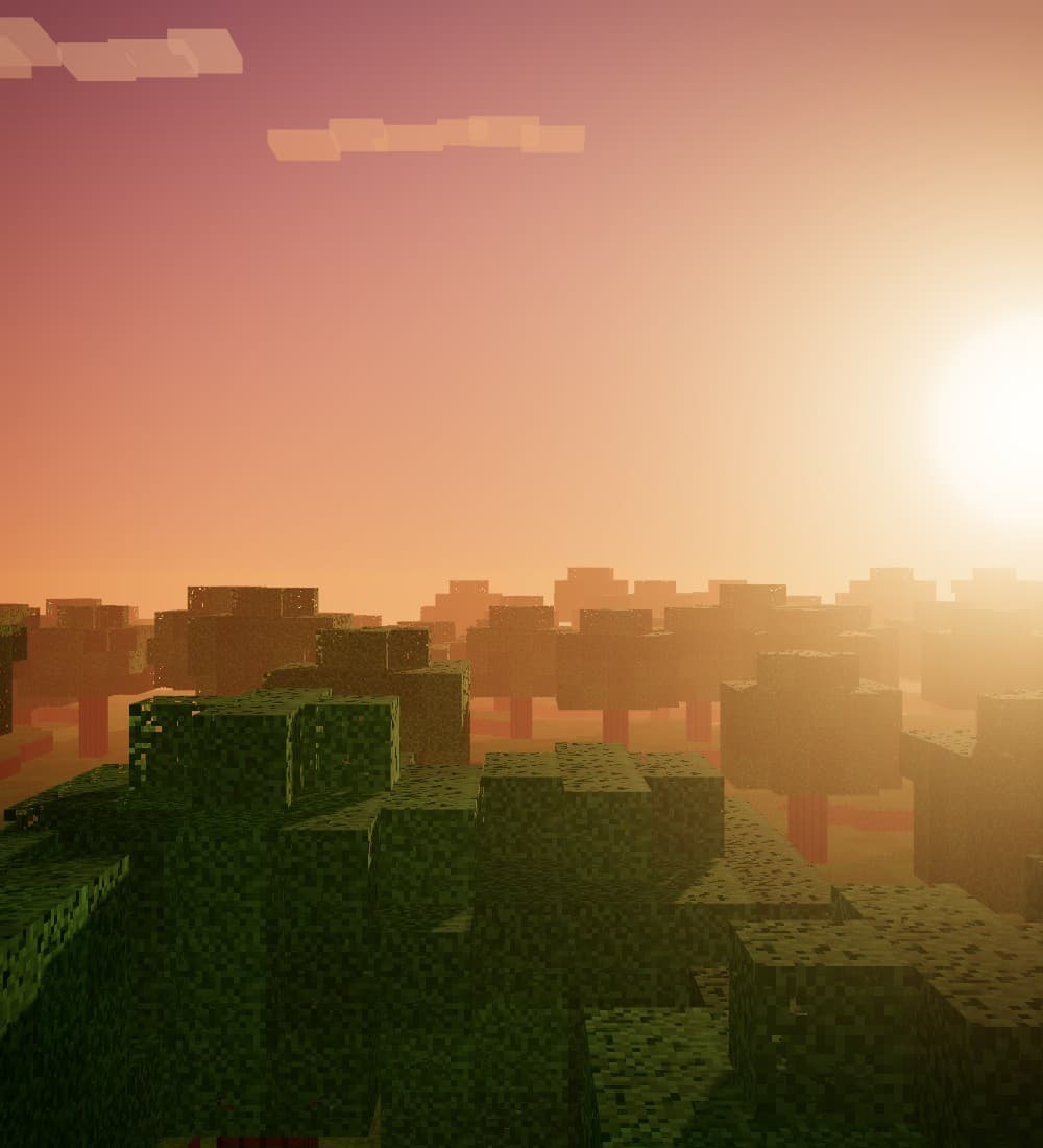 Open field at sunset
