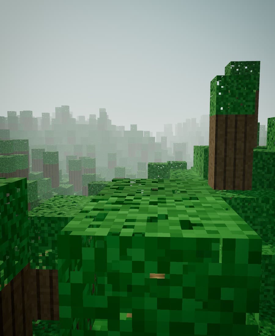 A path leading into a forest