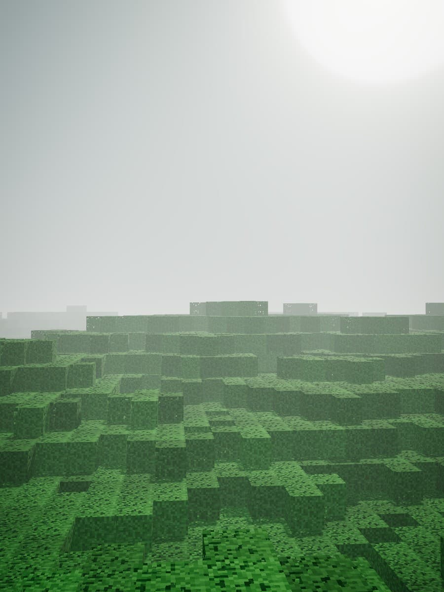 Dense woodland in fog
